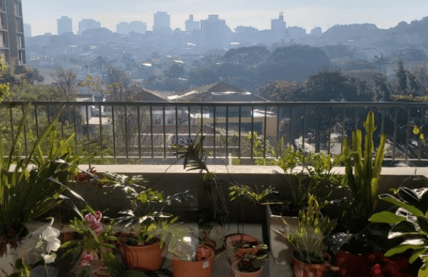 Vista da varanda com muitas plantas no Árbol
