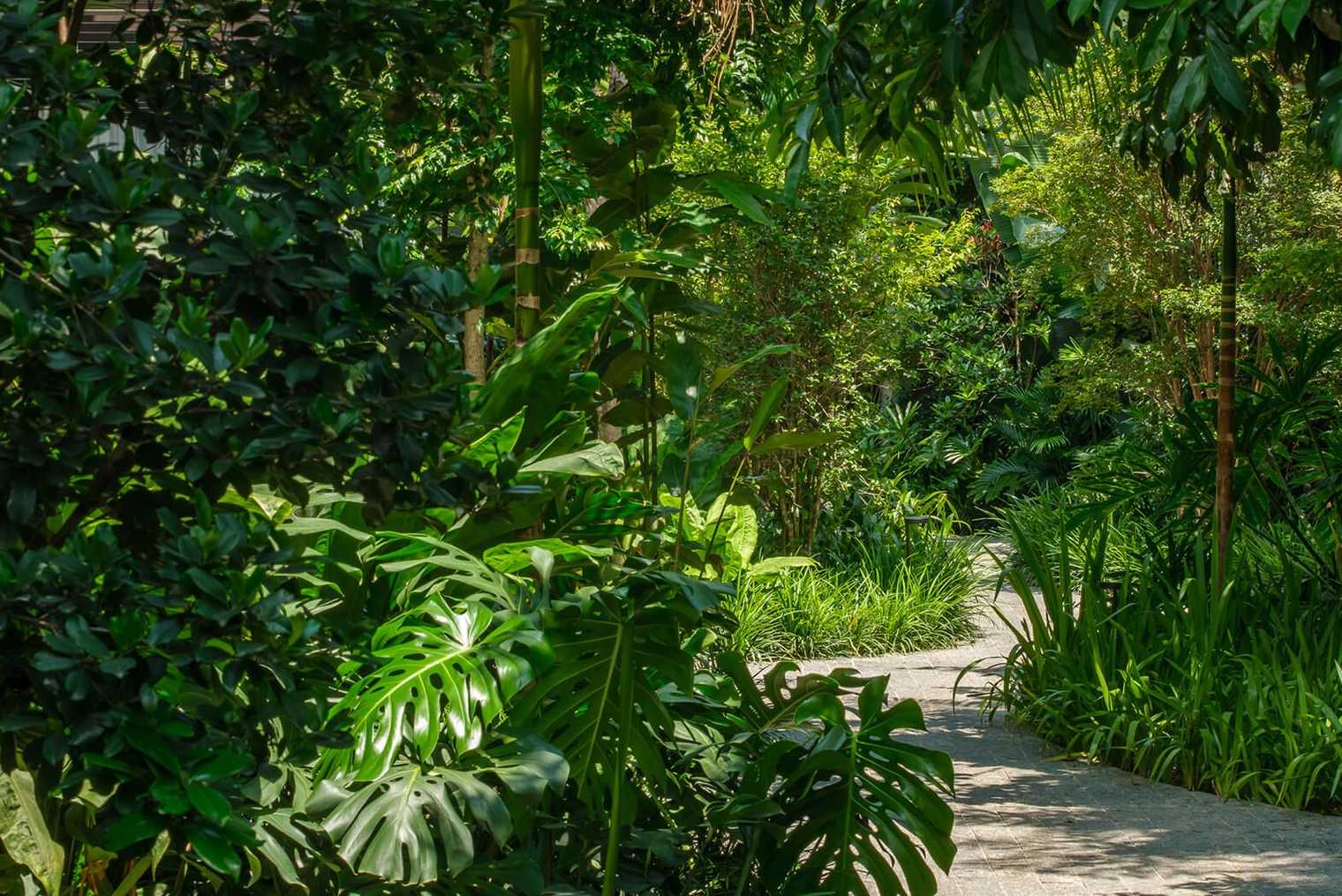 Área verde do edifício Floresta