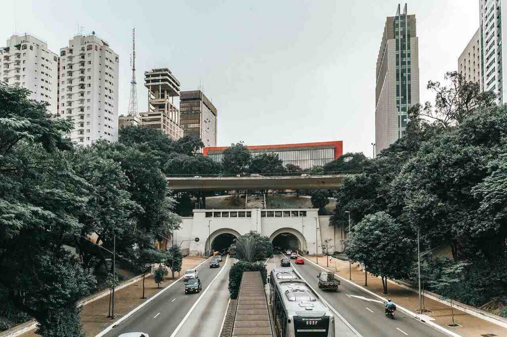 avenida do bairro Higienópolis - São Paulo