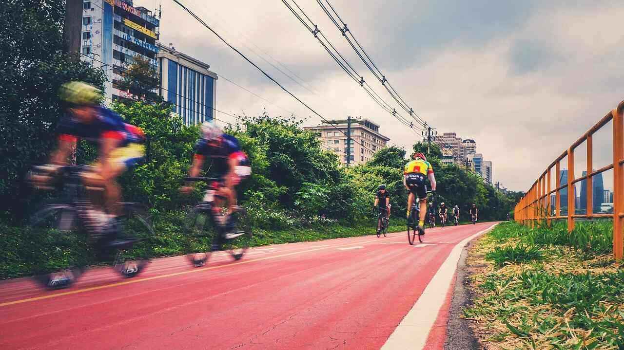 pinheiros-vantagens-qualidade-vida